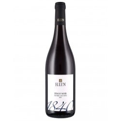 Alto Adige Pinot Nero Doc 2021 - H.Lun