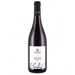 Alto Adige Pinot Nero Doc 2021 - H.Lun Vinové H.LUN