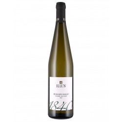 Alto Adige Moscato Giallo Doc 2021 - H.Lun