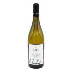 Alto Adige Pinot Bianco Doc 2021 - H.Lun