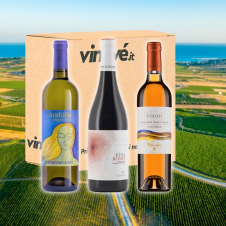 Sicilia: un Mare di Vino