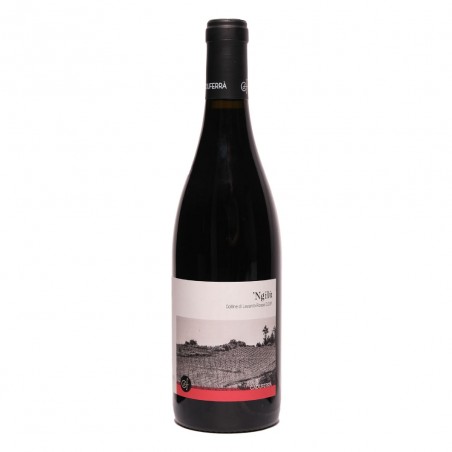 Colline Di Levanto Rosso Dop Ngilu' 2020 - Ca Du Ferra' Vinové CA DU FERRA'