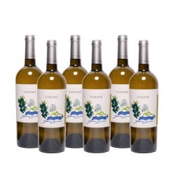 Salina Bianco Igt 2022 - Colosi (6 bottiglie) Vinové COLOSI