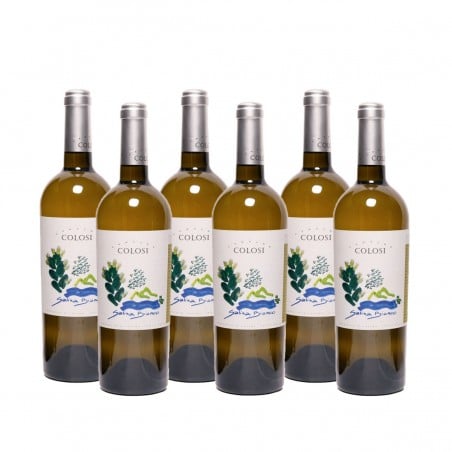 Salina Bianco Igt 2022 - Colosi (6 bottiglie) Vinové COLOSI