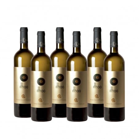 Liguria Di Levante Igt Ithaa 2020 - Tenuta La Ghiaia (6 bottiglie) Vinové TENUTA LA GHIAIA