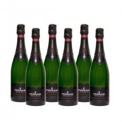 Trento Brut Blanc De Blancs Doc Maximum - Ferrari (6 bottiglie) Vinové FERRARI