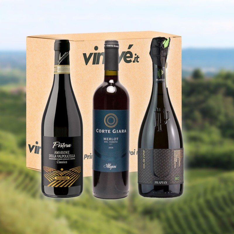 Veneto: Hills of Taste Vinové Selezioni Circella