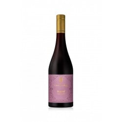 Alto Adige Pinot Nero Doc Karal 2019 - Castel Sallegg Vinové CASTEL SALLEGG