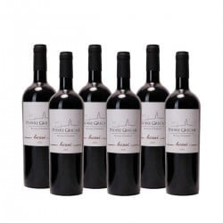 Riviera Ligure Di Ponente Superiore Doc Beusi 2021 - Podere Grecale (6 bottiglie) Vinové PODERE