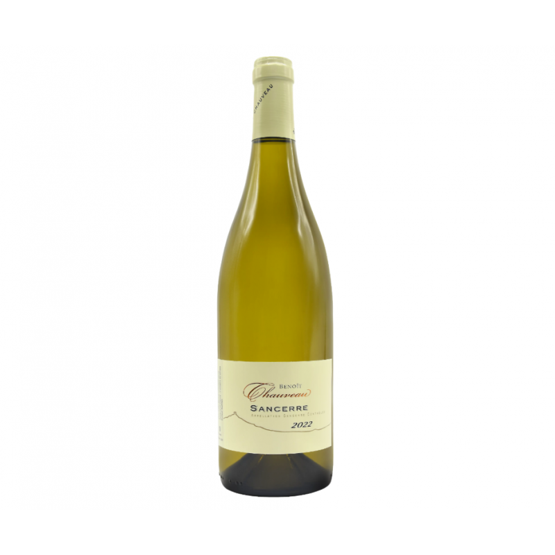 Sancerre Aoc 2021 - Domaine Chauveau Vinové DOMAINE CHAUVEAU