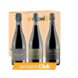 Bolle Senza Compromessi - Vinové Club Vinové Selezioni Circella