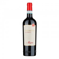 Valpolicella Classico Doc 2023 - Allegrini
