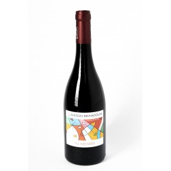 Pavia Pinot Nero Igt Al Negres 2020 - Brandolini
