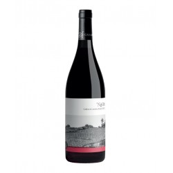Colline Di Levanto Rosso Dop Ngilu' 2021 - Ca Du Ferra'