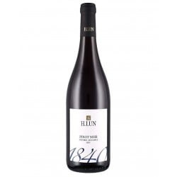 Alto Adige Pinot Nero Doc 2021 - H.Lun