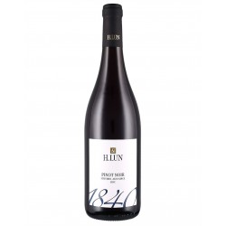 Alto Adige Pinot Nero Doc 2021 - H.Lun