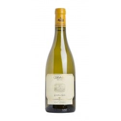 Umbria Igt Cervaro Della Sala 2020 - Marchesi Antinori