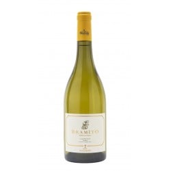 Umbria Chardonnay Igt Bramito Della Sala 2022 - Marchesi Antinori