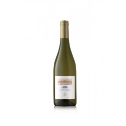Trebbiano D'Abruzzo  Doc Adrio 2021 - Orlandi Contucci Ponno