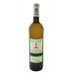 Antea 2019 - Tenuta Anfosso