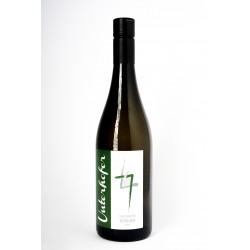 Alto Adige Kerner Doc 2020 - Unterhofer