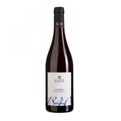 Alto Adige Lagrein Doc 2022 - H.Lun