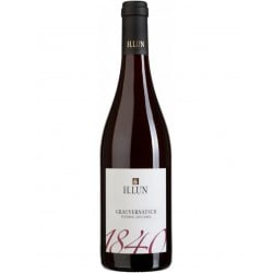 Alto Adige Grauvernatsch Doc 2021 - H.Lun