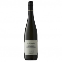 Kremstal Riesling  Dac 2018 - Moser Rohrendorf