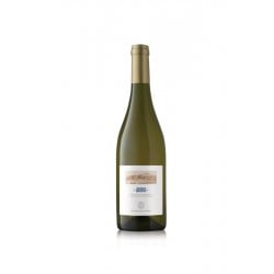 Trebbiano D'Abruzzo  Doc Adrio 2021 - Orlandi Contucci Ponno