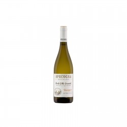 Friuli Colli Orientali Sauvignon Doc 2023 - Specogna