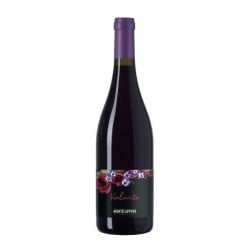 Marche Rosso Igt Violante 2022 - Montecappone