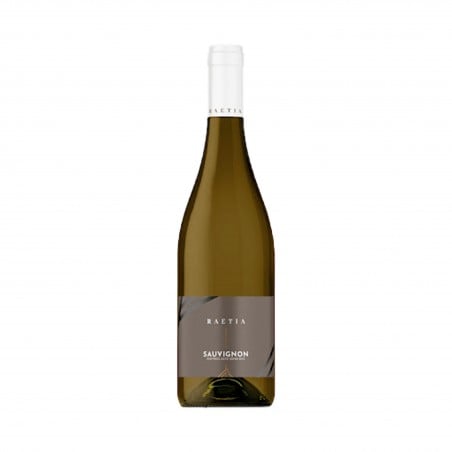 Alto Adige Sauvignon Doc - Raetia