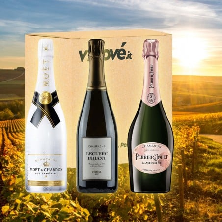 copy of Champagne: élégance effervescente Vinové Selezioni Circella