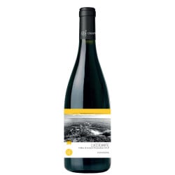 Colline Di Levanto Vermentino Dop Luccicante 2020 - Ca Du Ferra' Vinové CA DU FERRA'