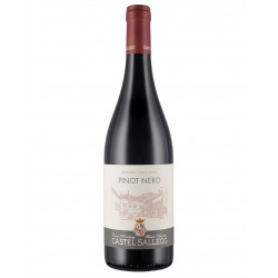 Alto Adige Pinot Nero Doc 2019 - Castel Sallegg Vinové CASTEL SALLEGG