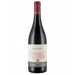 Alto Adigio Pinot Nero Doc 2019 - Castel Sallegg Vinové CASTEL SALLEGG