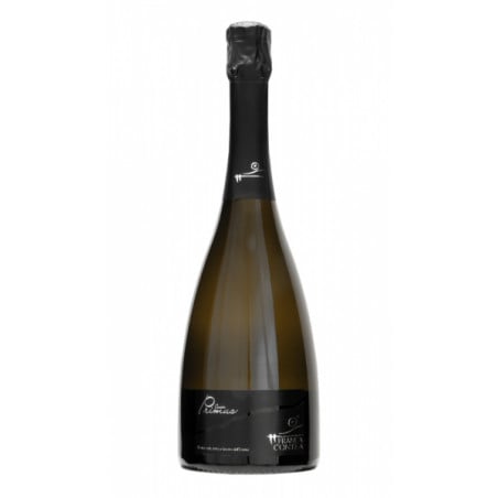 Franciacorta Brut Docg Primus - Francacontea