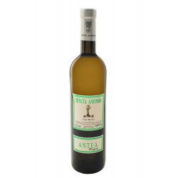 Antea 2019 - Tenuta Anfosso Vinové TENUTA ANFOSSO