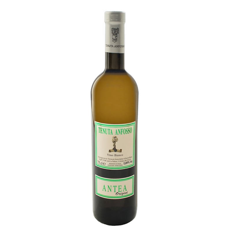 Antea 2019 - Tenuta Anfosso Vinové TENUTA ANFOSSO