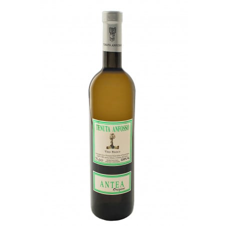 Antea 2019 - Tenuta Anfosso Vinové TENUTA ANFOSSO