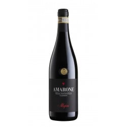 Amarone Classico Docg 2017 - Allegrini Vinové ALLEGRINI