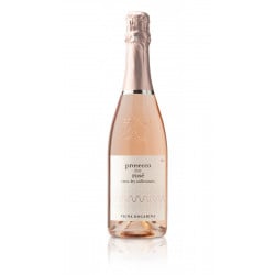 Prosecco Rosè Extra Dry Millesimato Doc - Dogarina Vinové DOGARINA