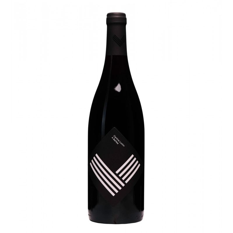 A Barilea 2019 - Luchin