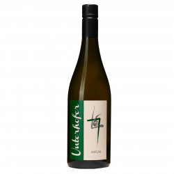 Alto Adige Sauvignon Doc 2019 - Unterhofer Vinové UNTERHOFER