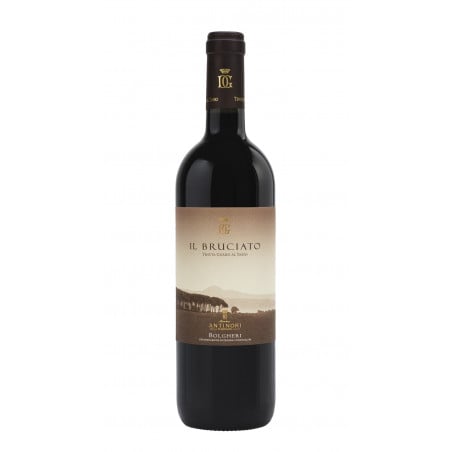 Bolgheri Doc Bruciato 2021 - Marchesi Antinori