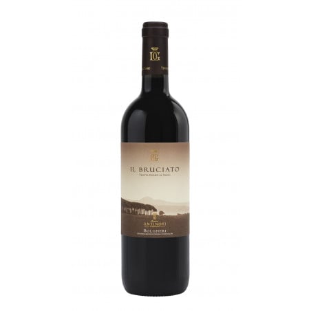 Bolgheri   Doc Bruciato 2021 - Marchesi Antinori