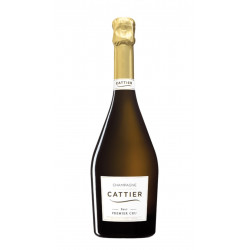 Champagne Brut Premier Cru  Aoc Magnum 1.5L - Cattier