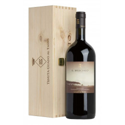 Bolgheri   Doc Bruciato 2021 Magnum 1.5L - Marchesi Antinori