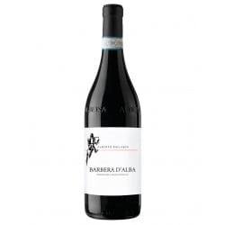 Barbera D'Alba Doc 2021 - Alberto Ballarin Vinové ALBERTO BALLARIN