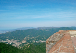 Un viaggio tramite i VINI DI ANDREA BRUZZONE, una storia di valorizzazione riscoperta.